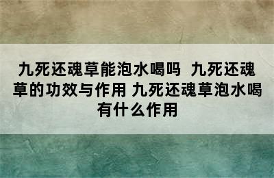 九死还魂草能泡水喝吗  九死还魂草的功效与作用 九死还魂草泡水喝有什么作用